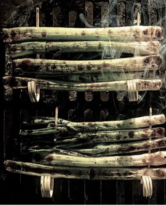 Charred scallions smoking on a grill